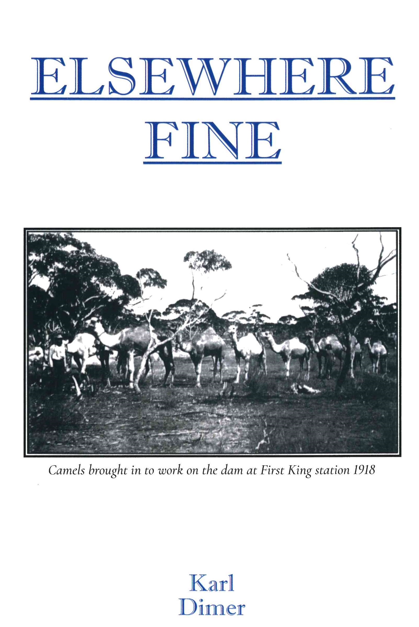 Elsewhere Fine by Karl Dimer